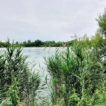 Zentrale - Direkt Am Und In Schlossnaehe *